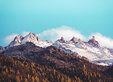 九游体育：让热爱体育的人在数字世界里自由博弈